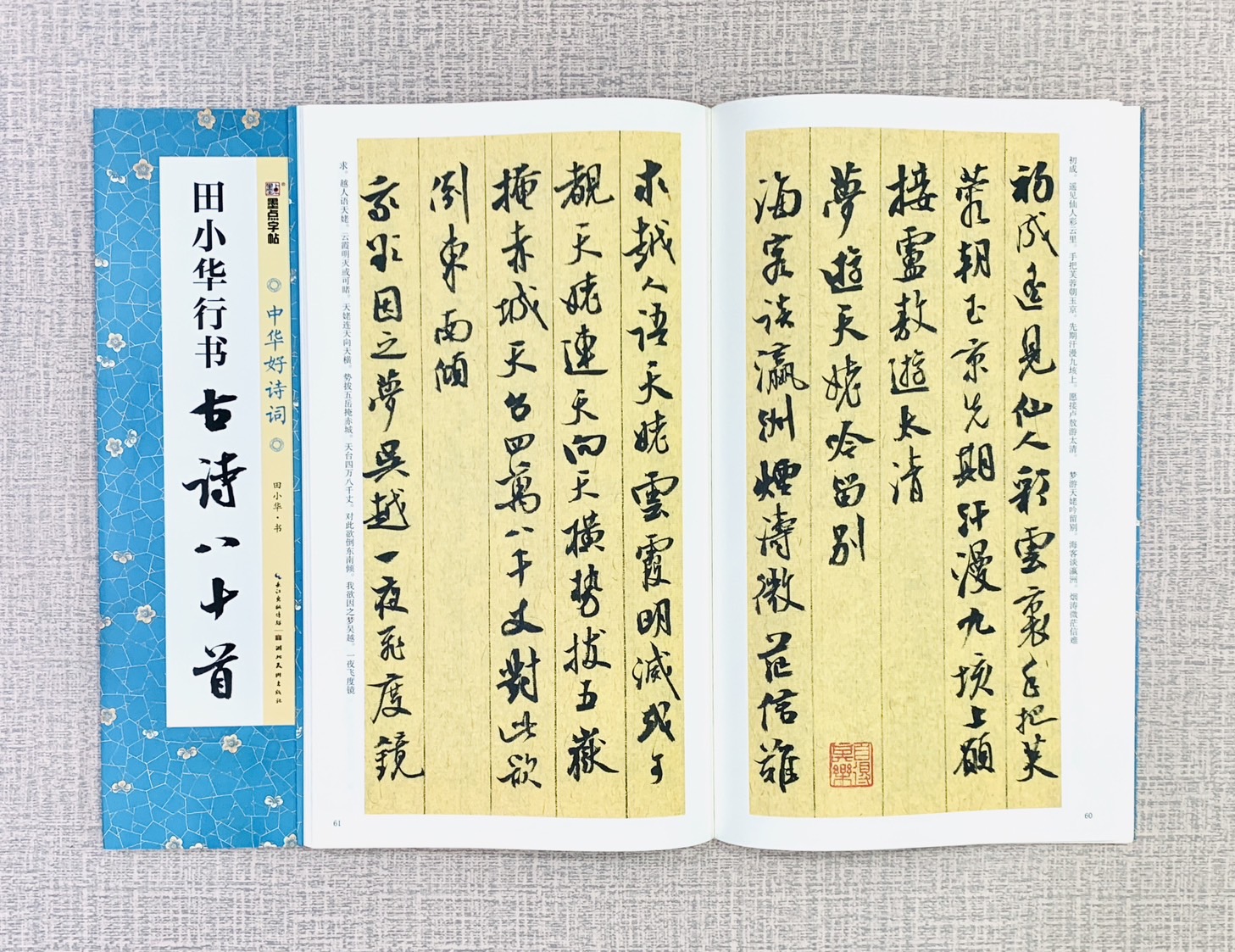 《田小華行書 古詩八十首》中國好詩詞 墨點字帖 田小華 書 湖北美術出版社