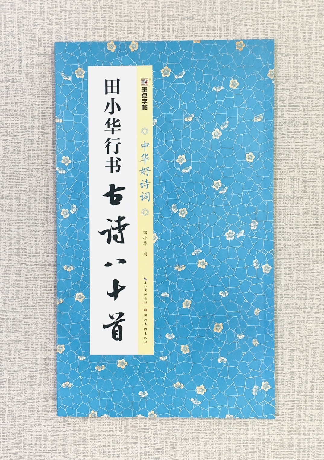 《田小華行書 古詩八十首》中國好詩詞 墨點字帖 田小華 書 湖北美術出版社