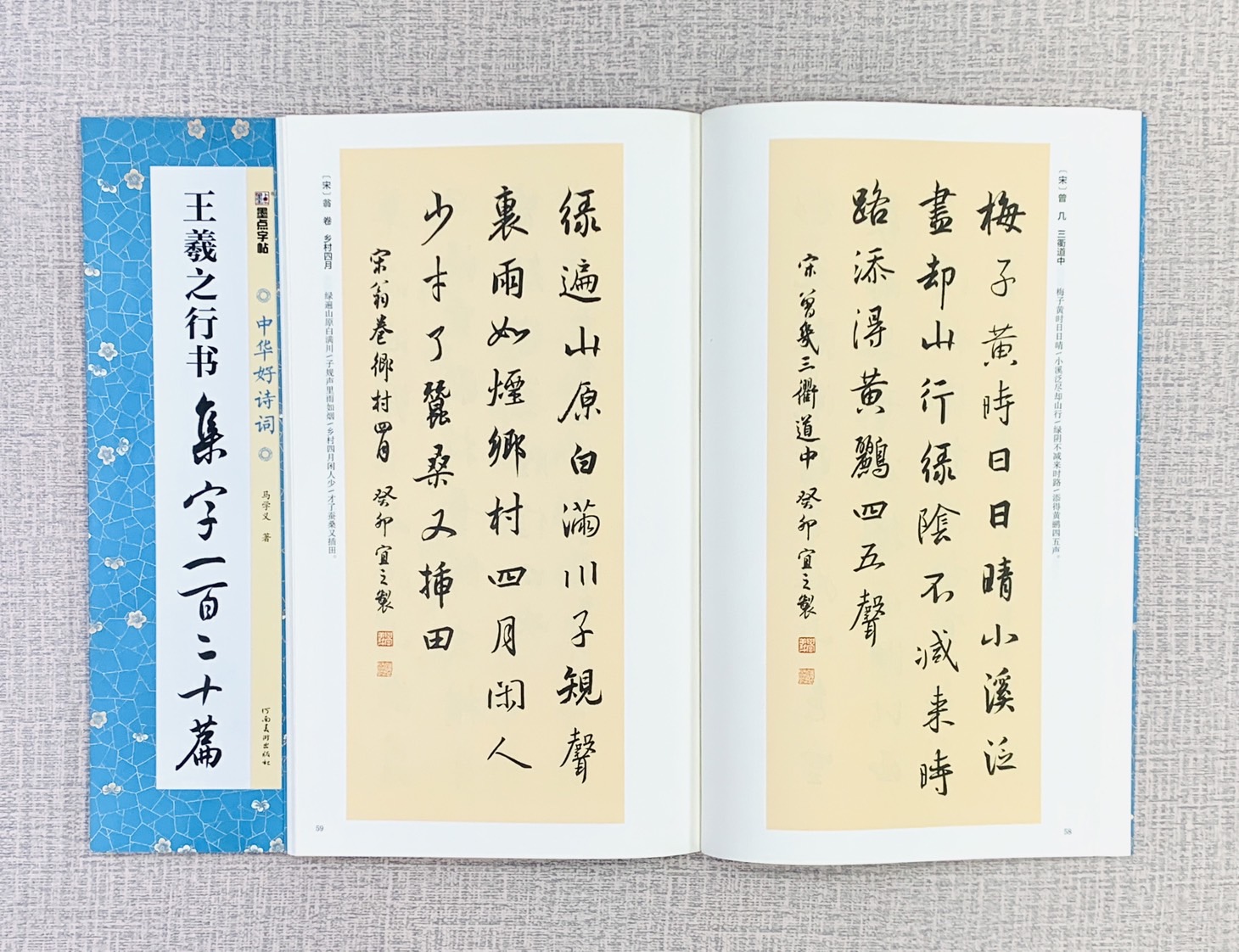 《王羲之行書 集字一百二十篇》中國好詩詞 墨點字帖 馬學義 著 河南美術出版社(湖北美術出版社)