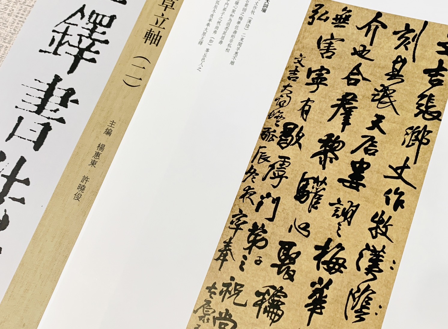 《王鐸書法類編》行草立軸 四冊  楊惠東 許曉俊 主編  天津人民美術出版社
