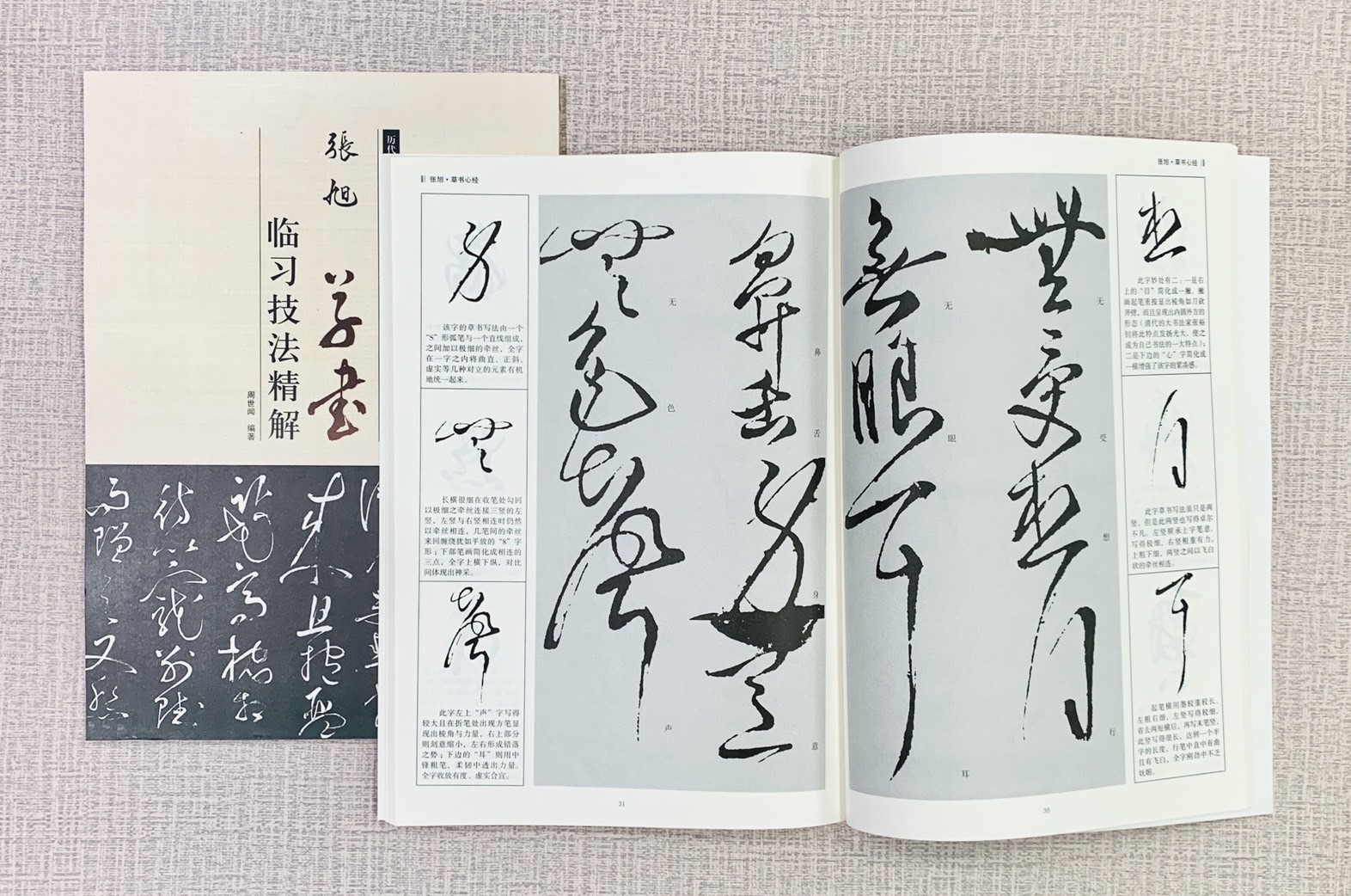 《張旭 草書 臨習技法精解》 歷代名家碑帖臨習技法精解 周世聞 編著 中州古籍出版社