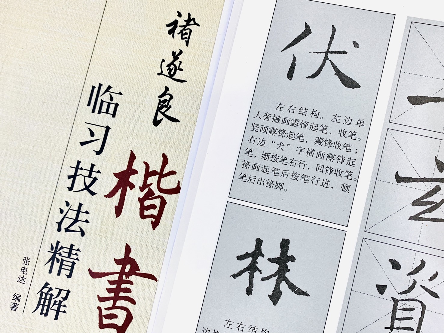 《褚遂良 楷書 臨習技法精解》 歷代名家碑帖臨習技法精解 張電達 編著 中州古籍出版社