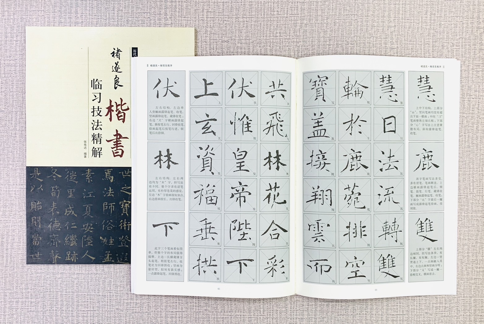《褚遂良 楷書 臨習技法精解》 歷代名家碑帖臨習技法精解 張電達 編著 中州古籍出版社