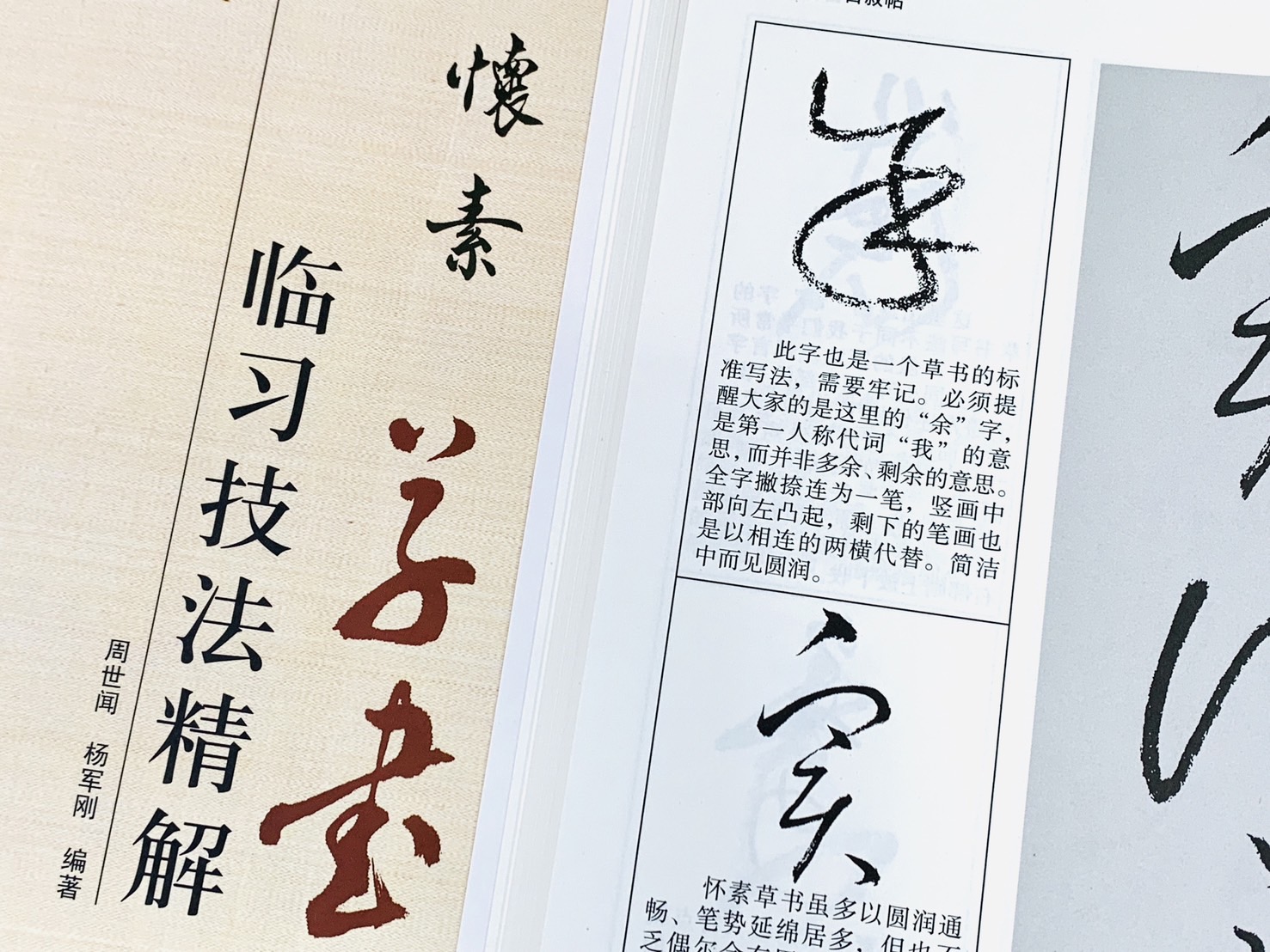 《懷素 草書 臨習技法精解》 歷代名家碑帖臨習技法精解 周世聞 楊軍剛 編著 中州古籍出版社
