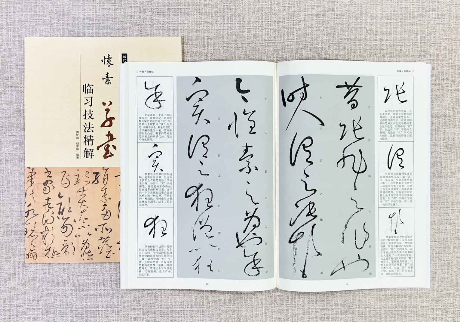 《懷素 草書 臨習技法精解》 歷代名家碑帖臨習技法精解 周世聞 楊軍剛 編著 中州古籍出版社