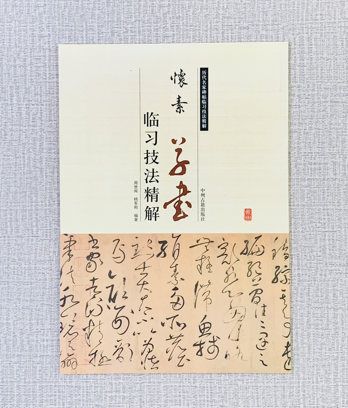 《懷素 草書 臨習技法精解》 歷代名家碑帖臨習技法精解 周世聞 楊軍剛 編著 中州古籍出版社