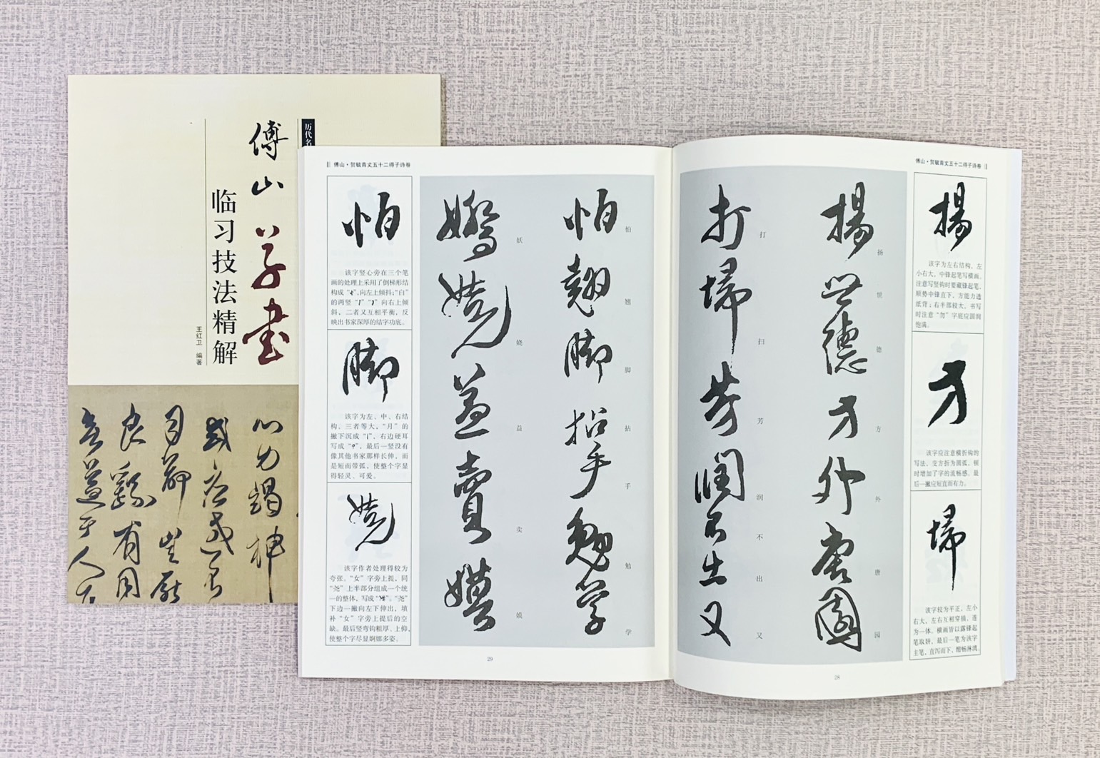《傅山 草書 臨習技法精解》  歷代名家碑帖臨習技法精解  王紅衛 編著  中州古籍出版社