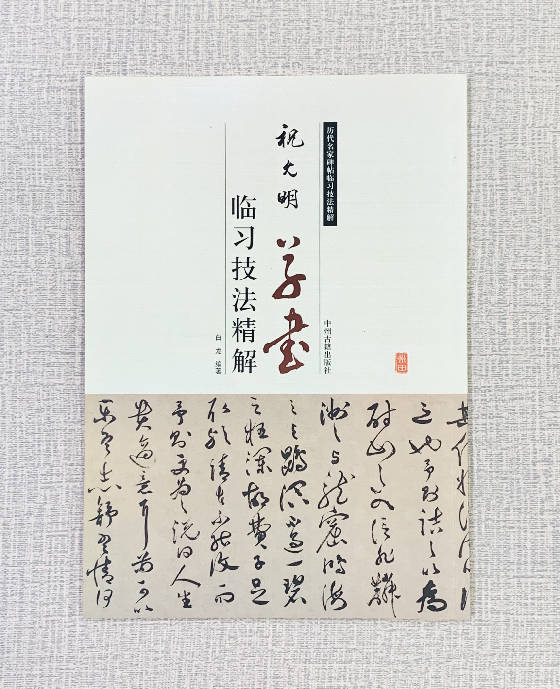 《祝允明 草書 臨習技法精解》  歷代名家碑帖臨習技法精解  白龍 編著  中州古籍出版社