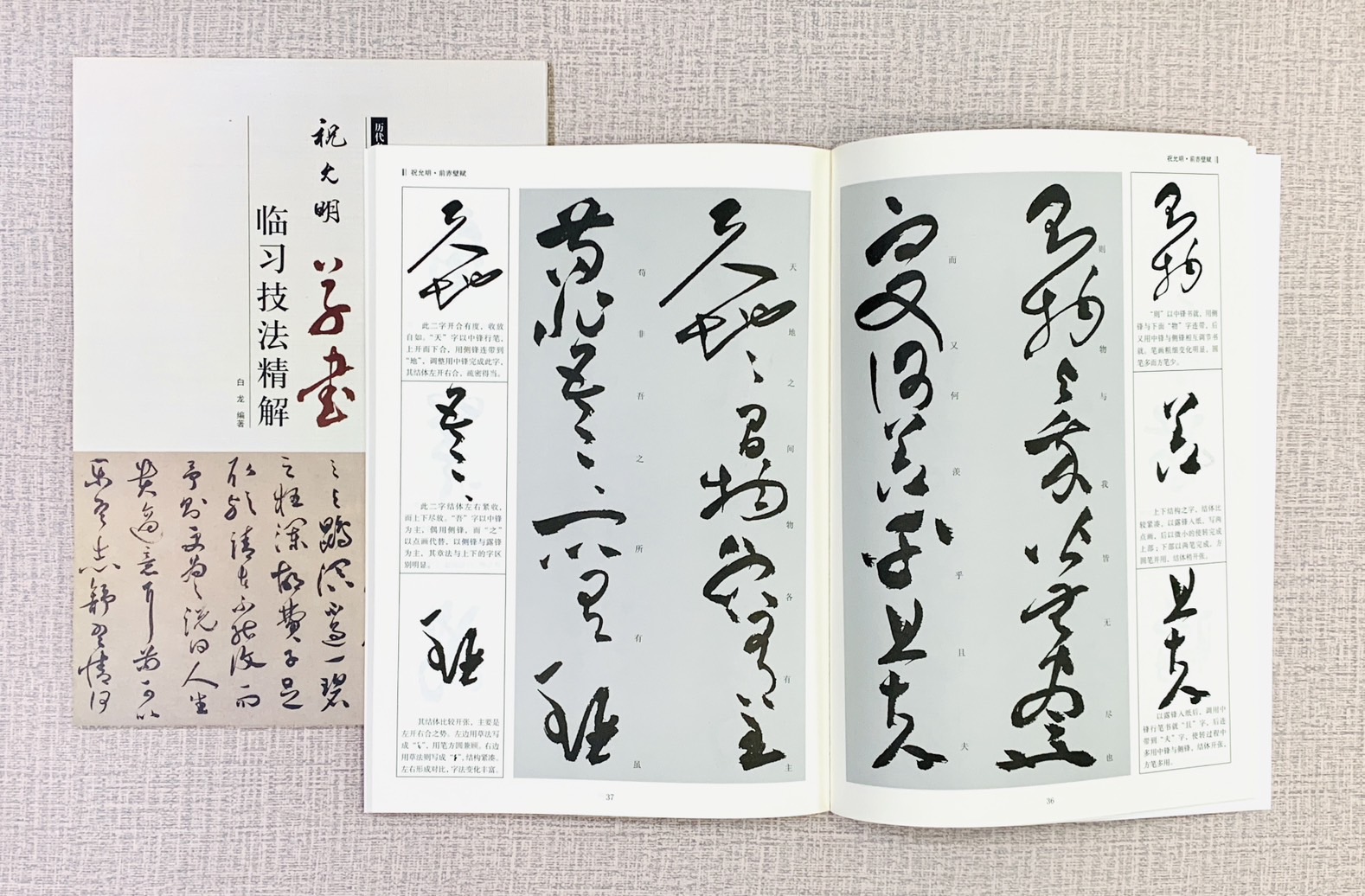 《祝允明 草書 臨習技法精解》  歷代名家碑帖臨習技法精解  白龍 編著  中州古籍出版社