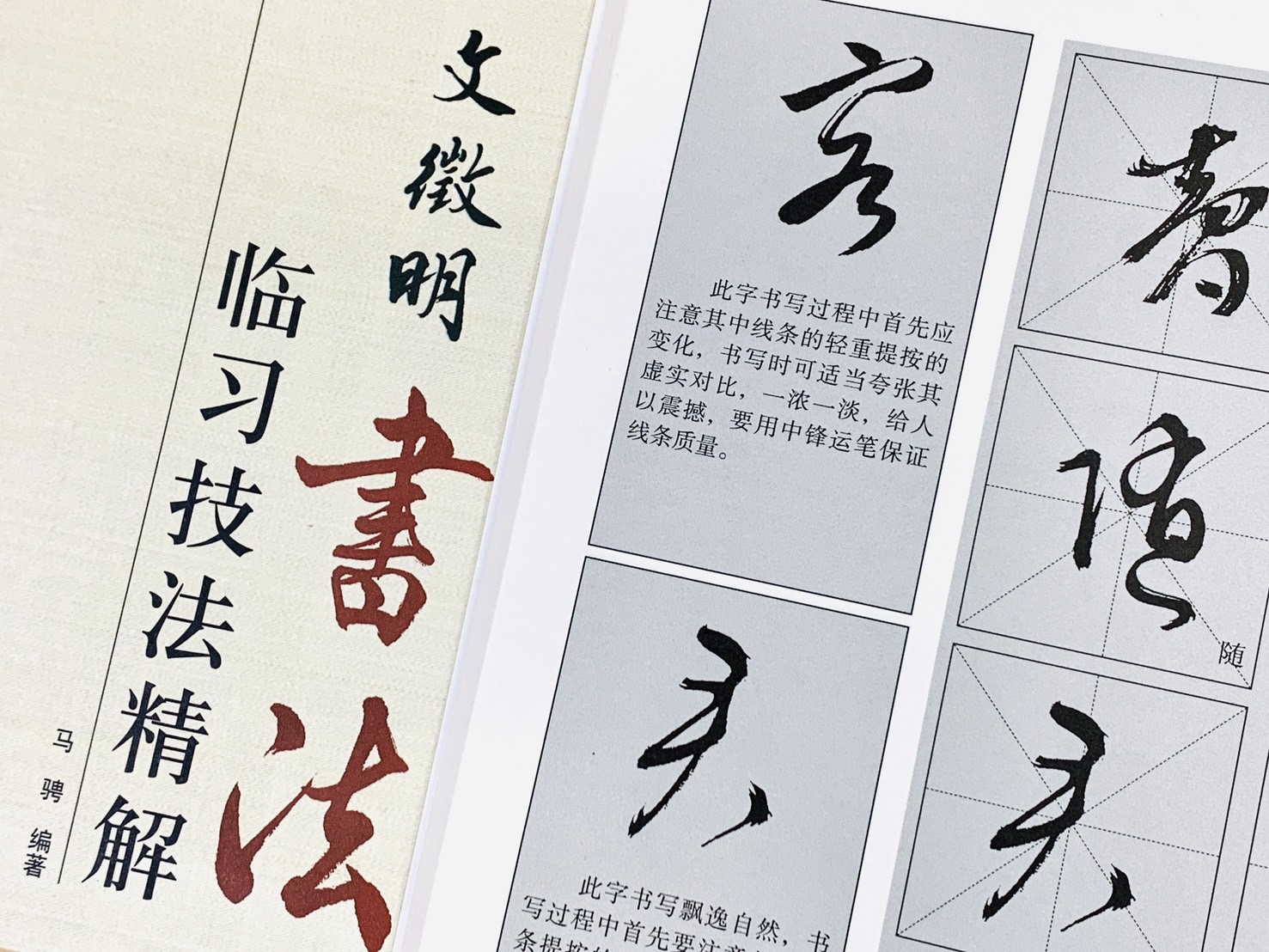 《文徵明 書法 臨習技法精解》  歷代名家碑帖臨習技法精解  馬聘 編著  中州古籍出版社