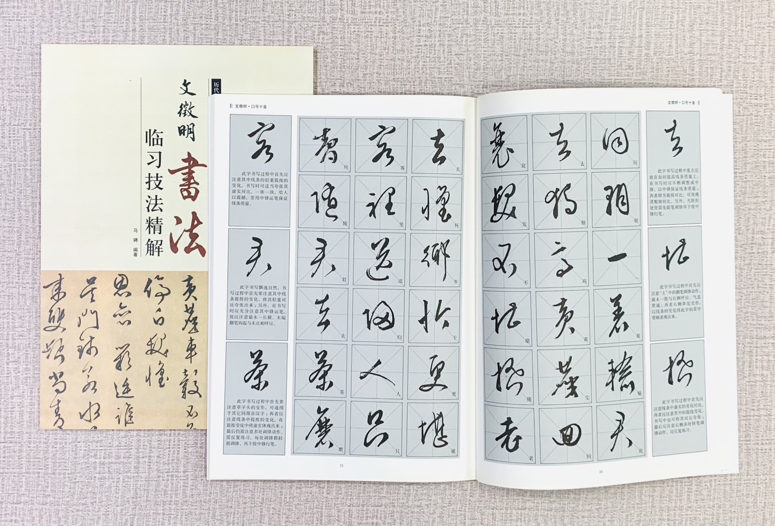 《文徵明 書法 臨習技法精解》  歷代名家碑帖臨習技法精解  馬聘 編著  中州古籍出版社