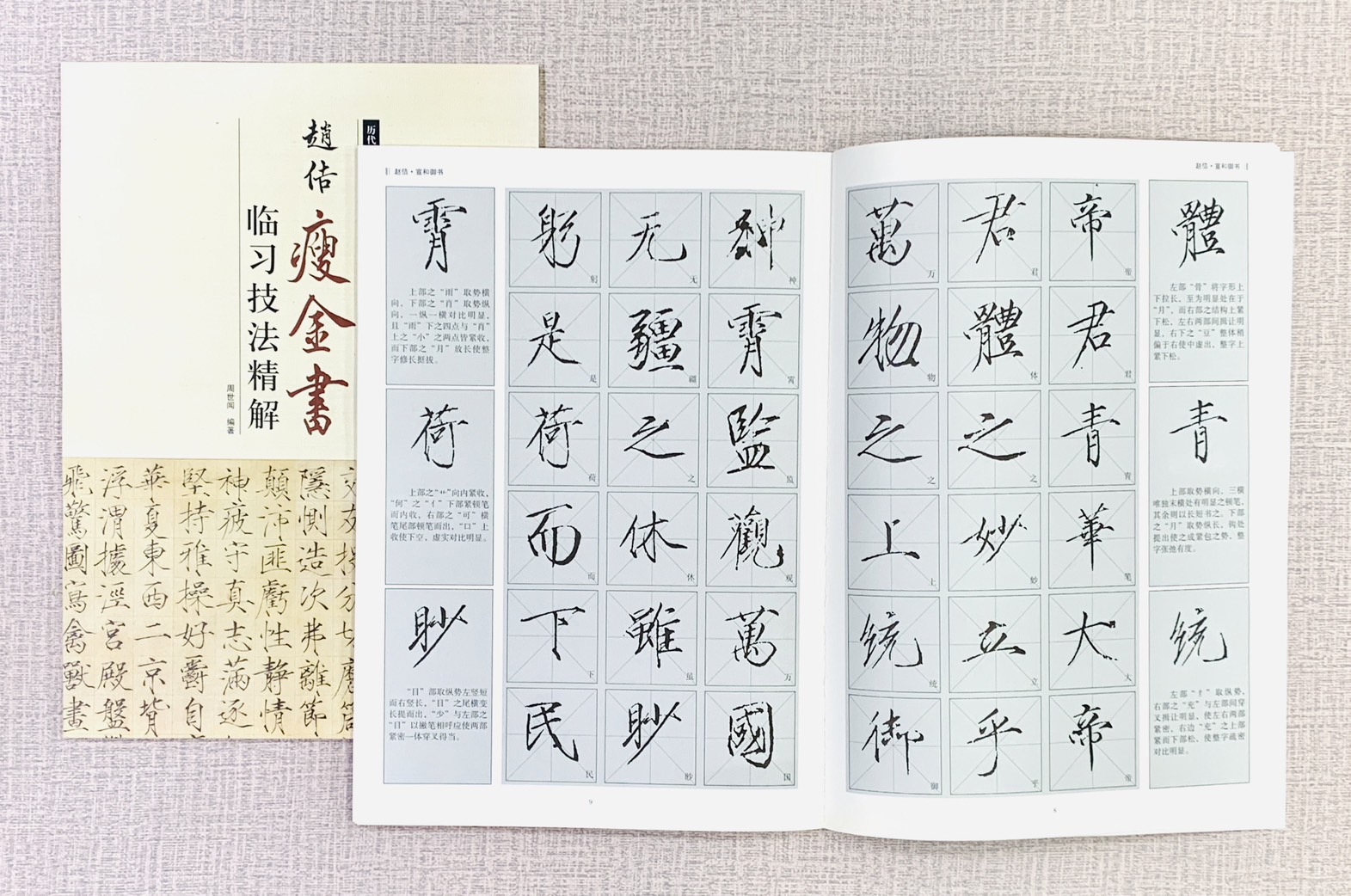 《趙佶 瘦金書 臨習技法精解》 歷代名家碑帖臨習技法精解 周世聞 編著 中州古籍出版社