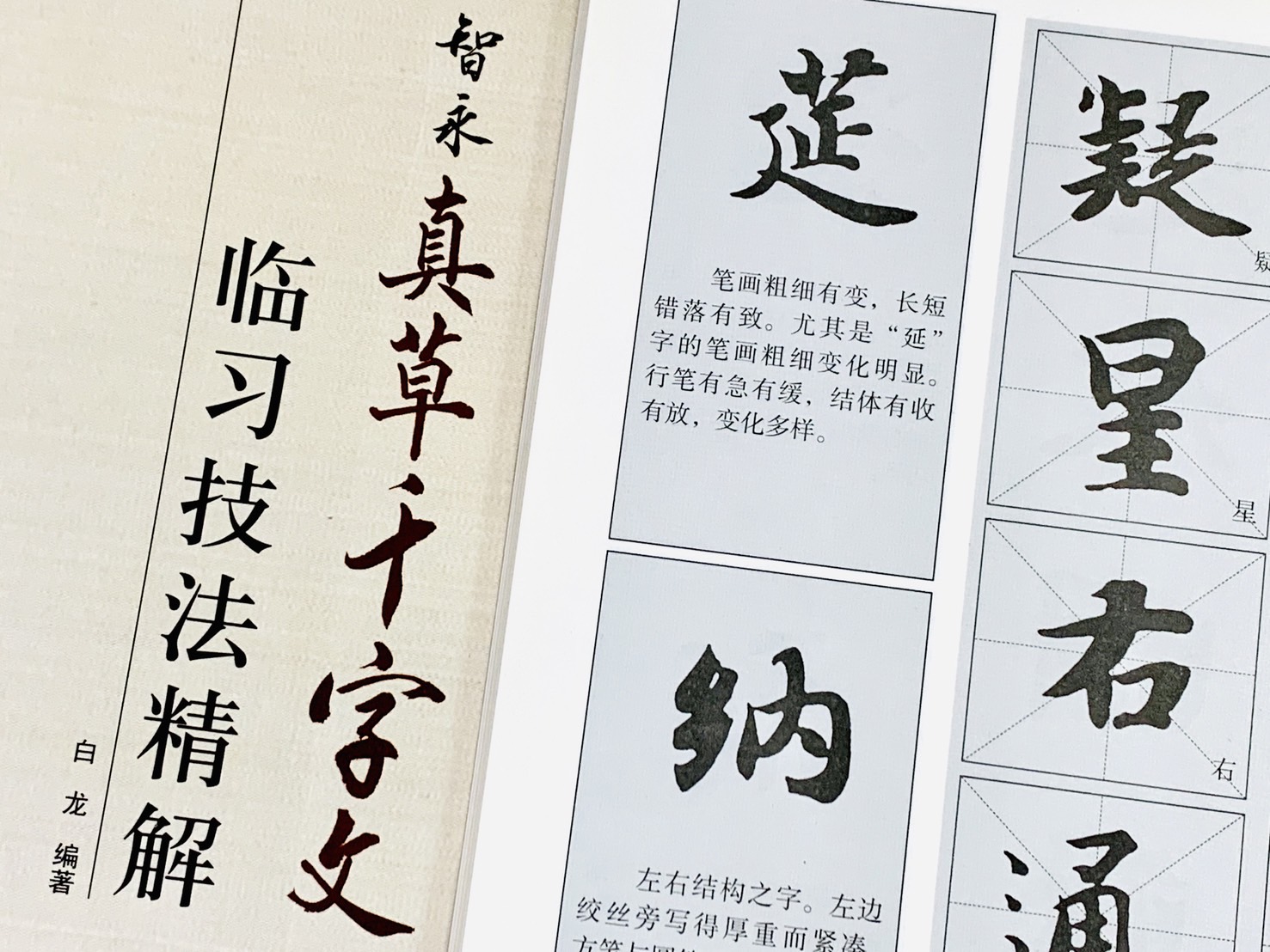 《智永 真草千字文 臨習技法精解》  歷代名家碑帖臨習技法精解  白龍 編著  中州古籍出版社