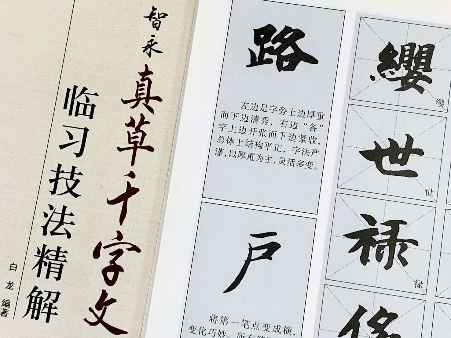 《智永 真草千字文 臨習技法精解》  歷代名家碑帖臨習技法精解  白龍 編著  中州古籍出版社