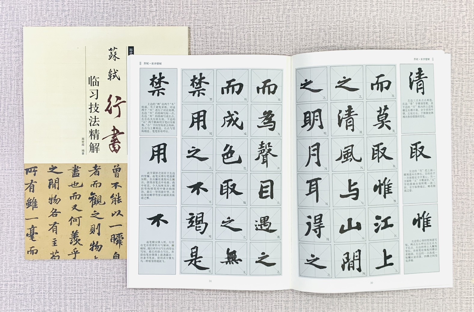 《蘇軾 行書 臨習技法精解》 歷代名家碑帖臨習技法精解 周世聞 編著 中州古籍出版社