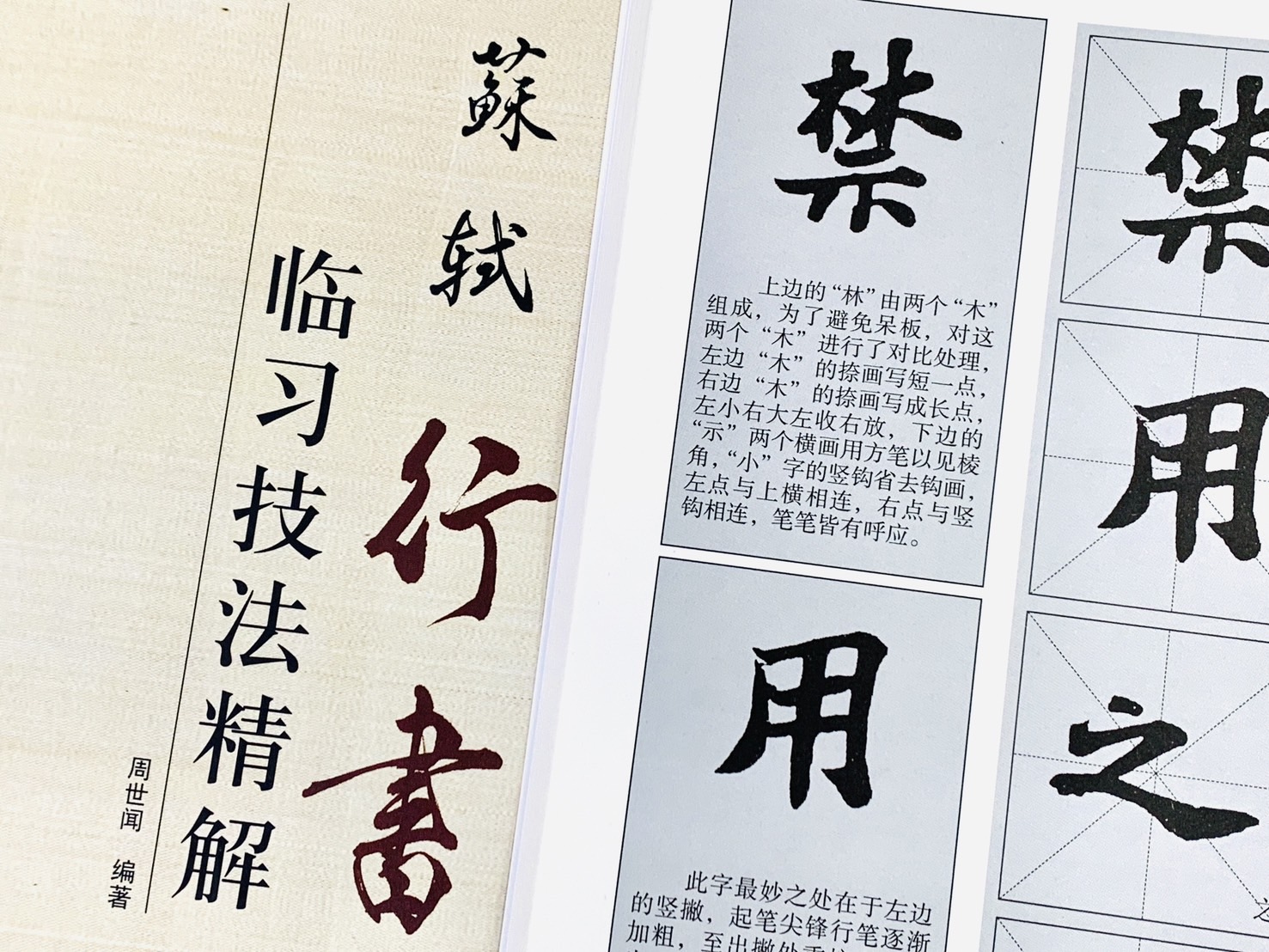 《蘇軾 行書 臨習技法精解》 歷代名家碑帖臨習技法精解 周世聞 編著 中州古籍出版社