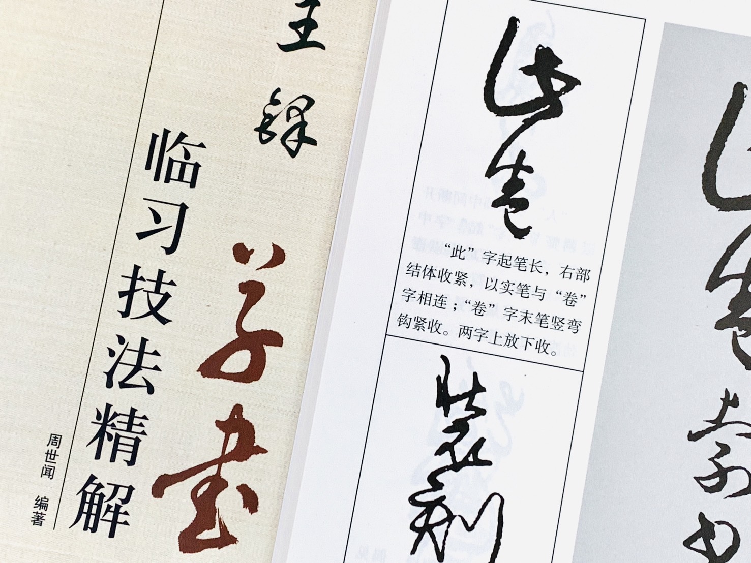 《王鐸 草書 臨習技法精解》  歷代名家碑帖臨習技法精解  周世聞 編  中州古籍出版社