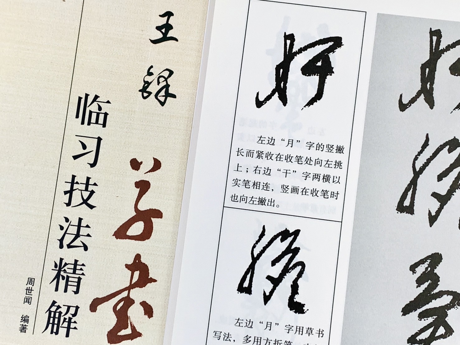 《王鐸 草書 臨習技法精解》  歷代名家碑帖臨習技法精解  周世聞 編  中州古籍出版社