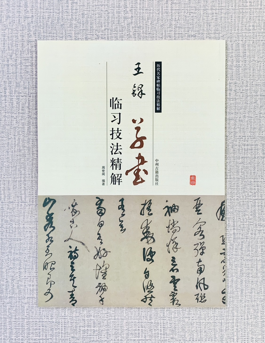 《王鐸 草書 臨習技法精解》  歷代名家碑帖臨習技法精解  周世聞 編  中州古籍出版社
