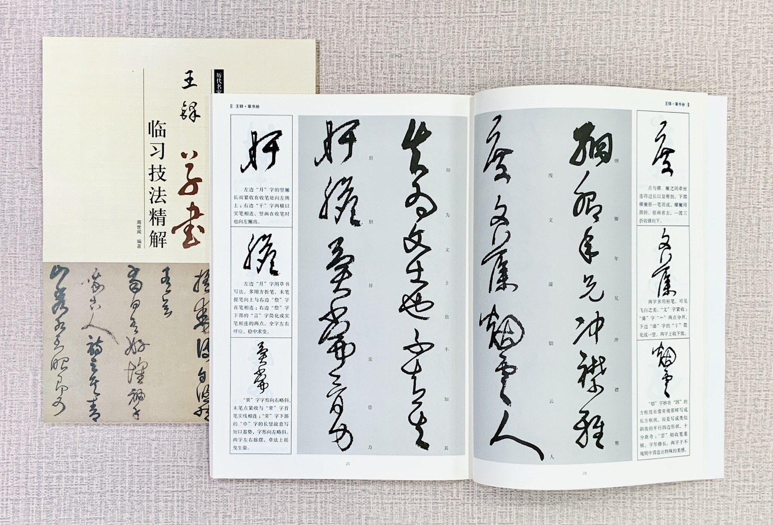 《王鐸 草書 臨習技法精解》  歷代名家碑帖臨習技法精解  周世聞 編  中州古籍出版社