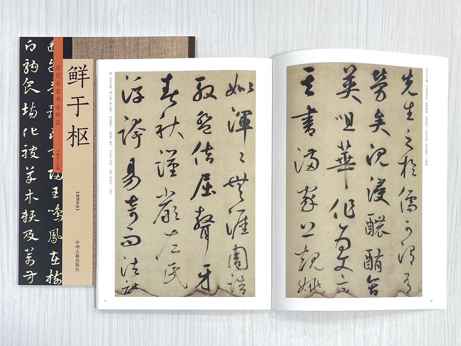 《歷代名家書法珍品 鮮于樞》 中州古籍出版社 許裕長 編著