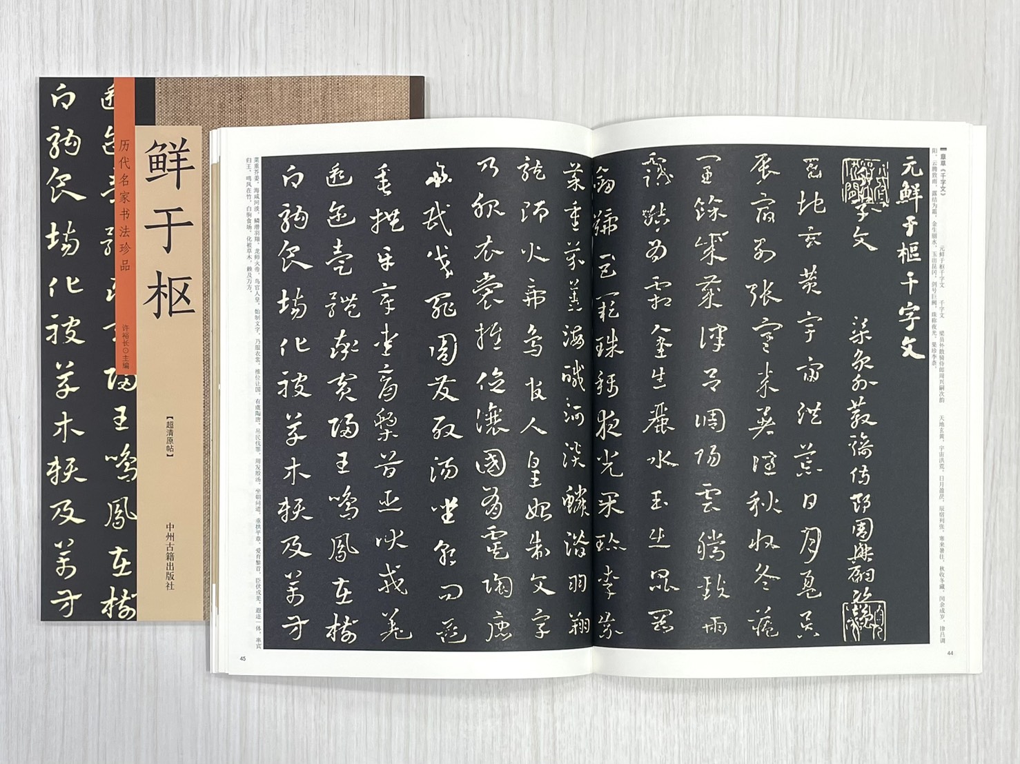《歷代名家書法珍品 鮮于樞》 中州古籍出版社 許裕長 編著