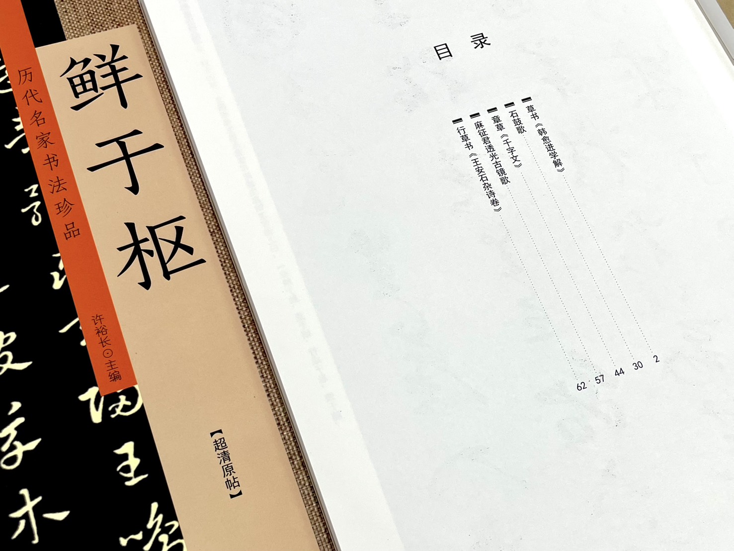 《歷代名家書法珍品 鮮于樞》 中州古籍出版社 許裕長 編著