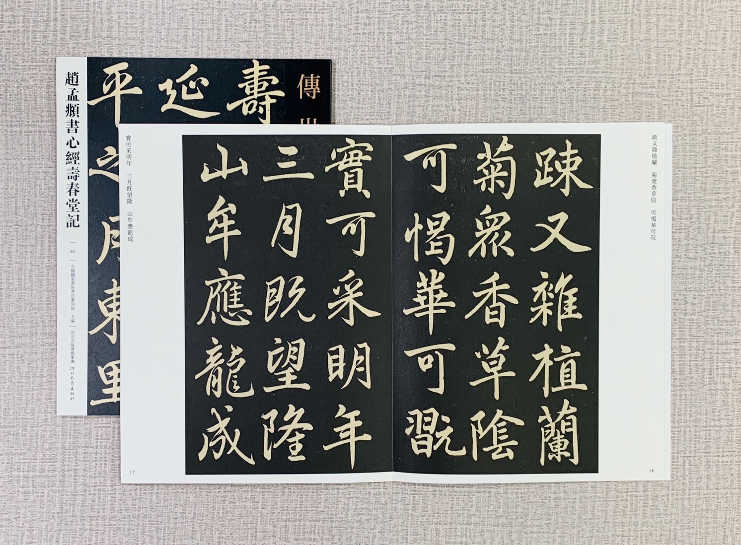 《趙孟頫書心經壽春堂記》   傳世經典書法碑帖 河北教育出版社