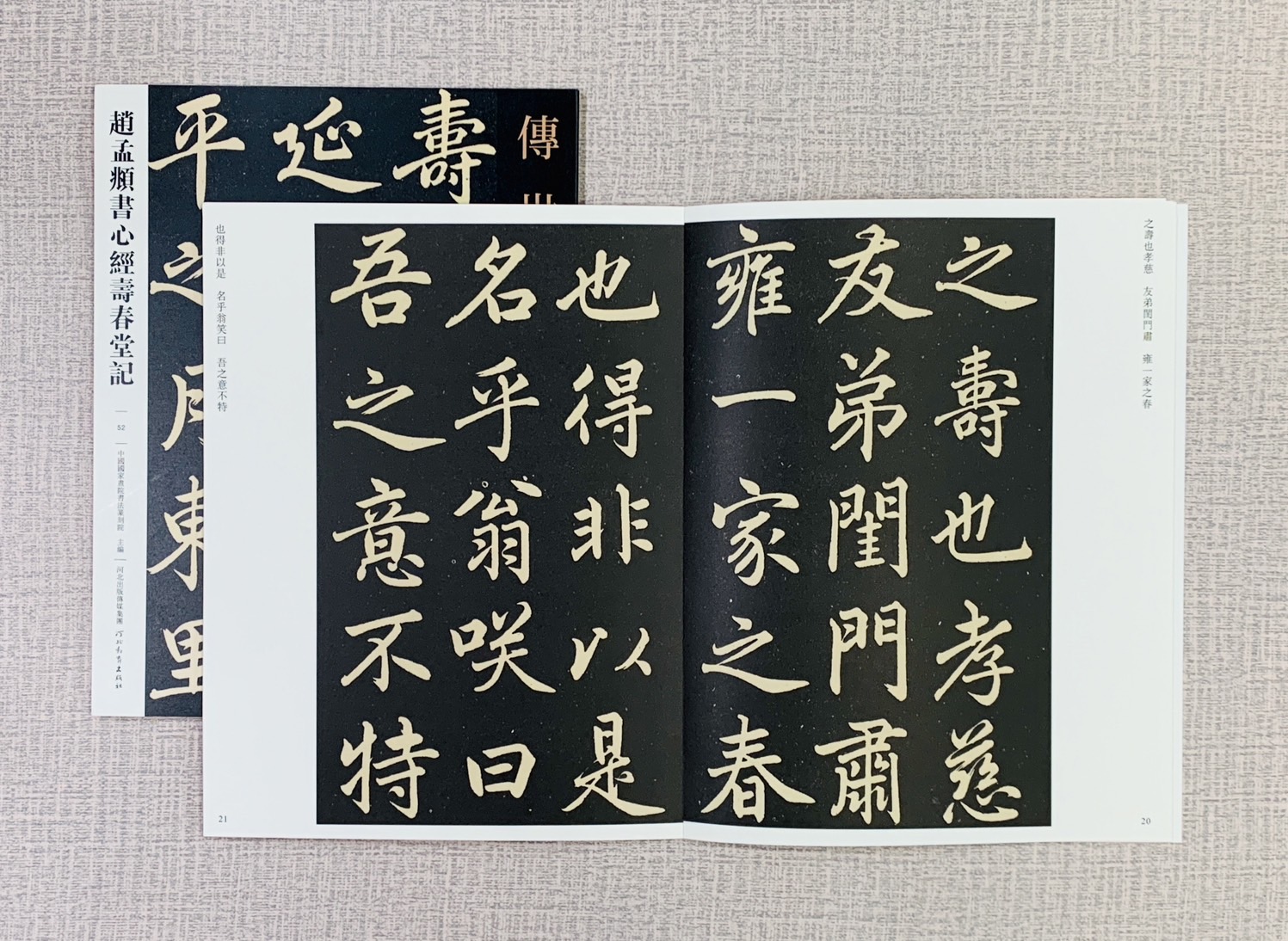 《趙孟頫書心經壽春堂記》   傳世經典書法碑帖 河北教育出版社