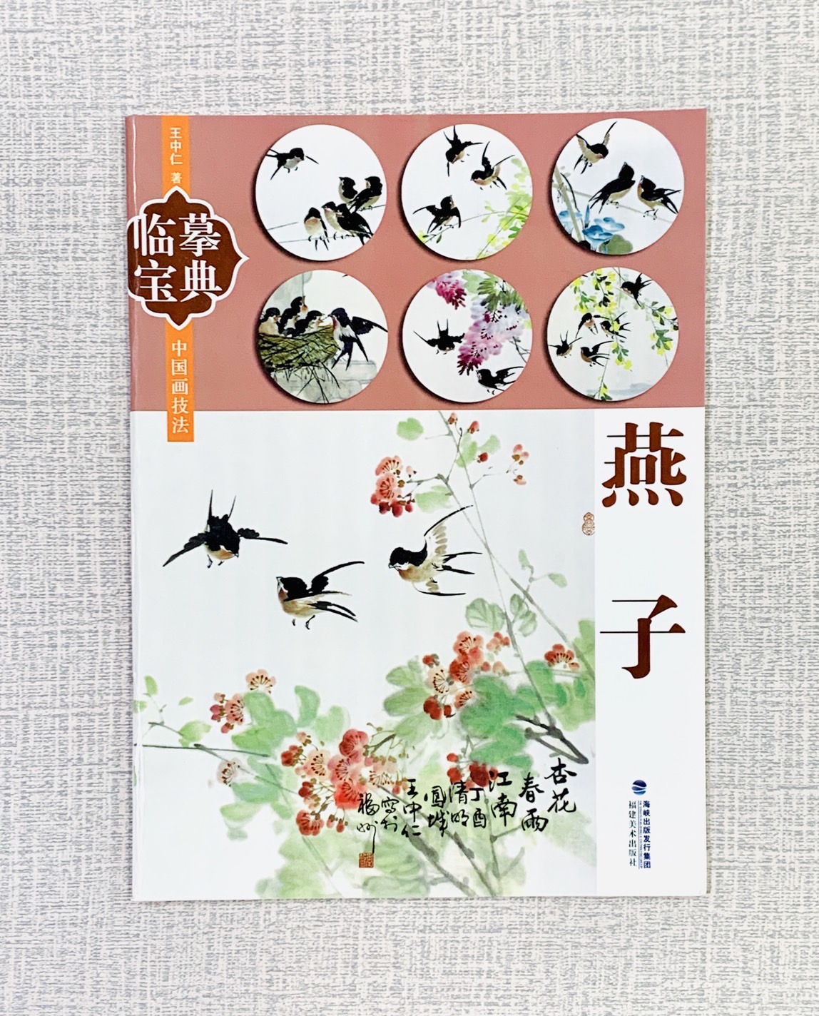 《燕子》臨摹寶典  福建美術出版社