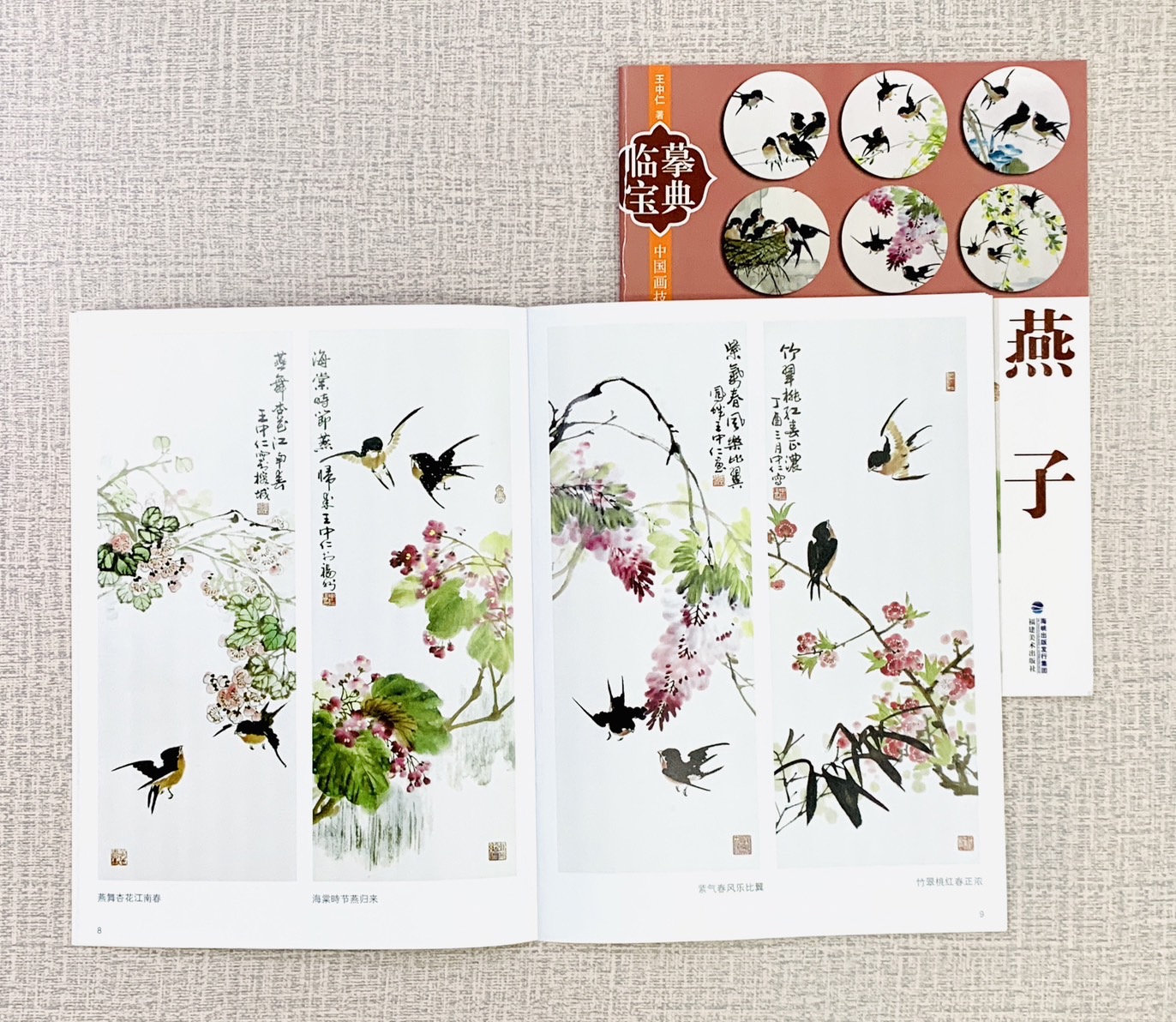 《燕子》臨摹寶典  福建美術出版社