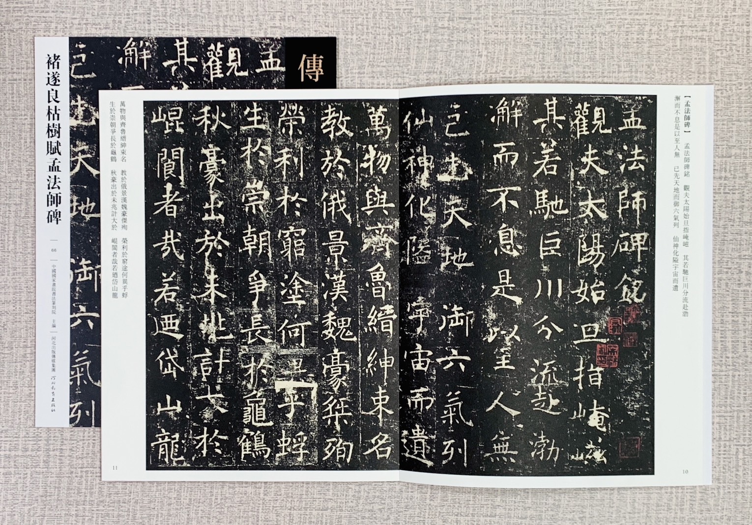 《褚遂良枯樹賦孟法師碑》傳世經典書法碑帖  河北教育出版社  中國國家畫院書法篆刻院 褚遂良 枯樹賦孟法師碑