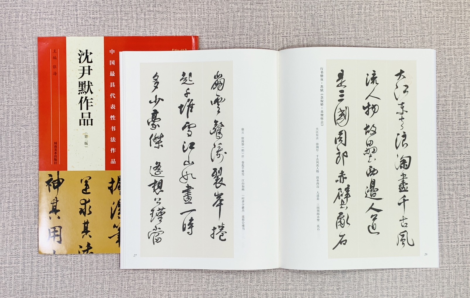 《沈尹默作品》中國最具代表性書法作品系列 張海主編 沈尹默 河南美術出版社 中國最具代表性書法作品 河南美術