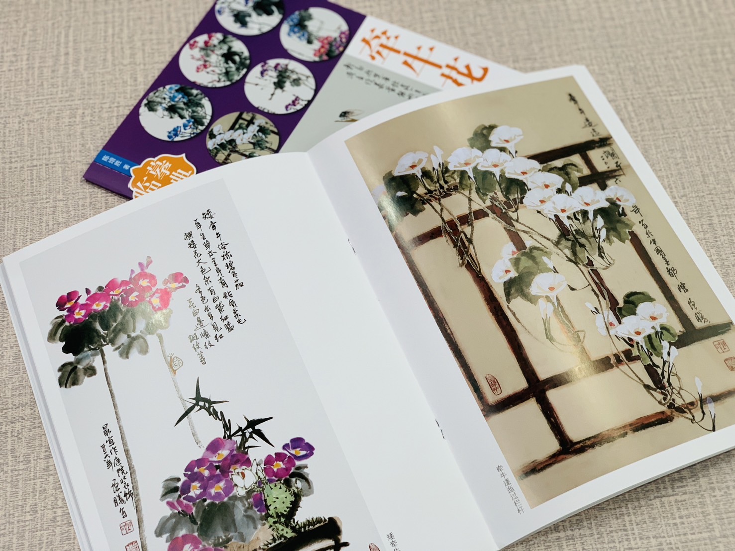 《臨摹寶典 牽牛花》 福建美術出版社