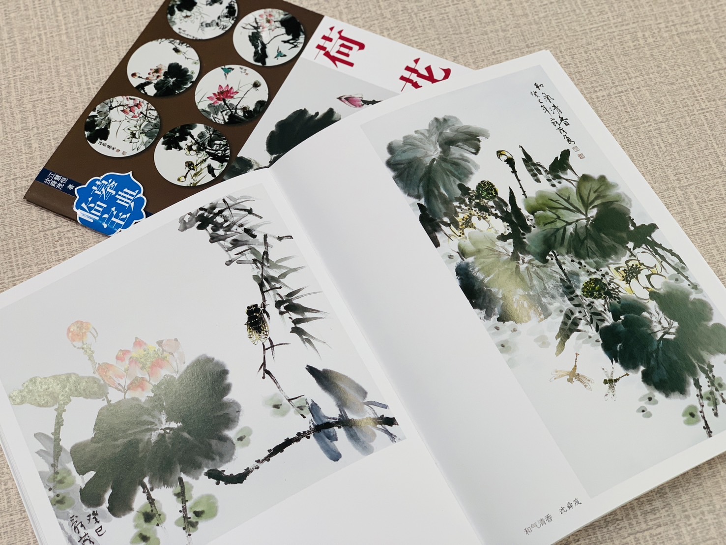 《臨摹寶典 荷花》 福建美術出版社