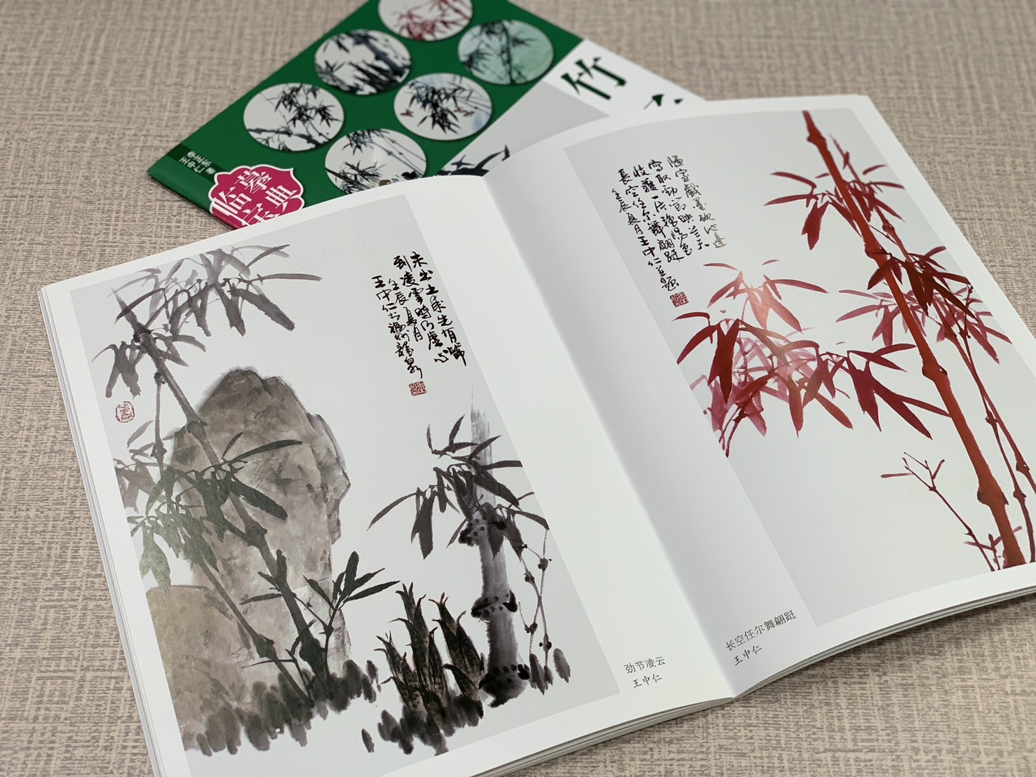 《臨摹寶典 竹子》 福建美術出版社
