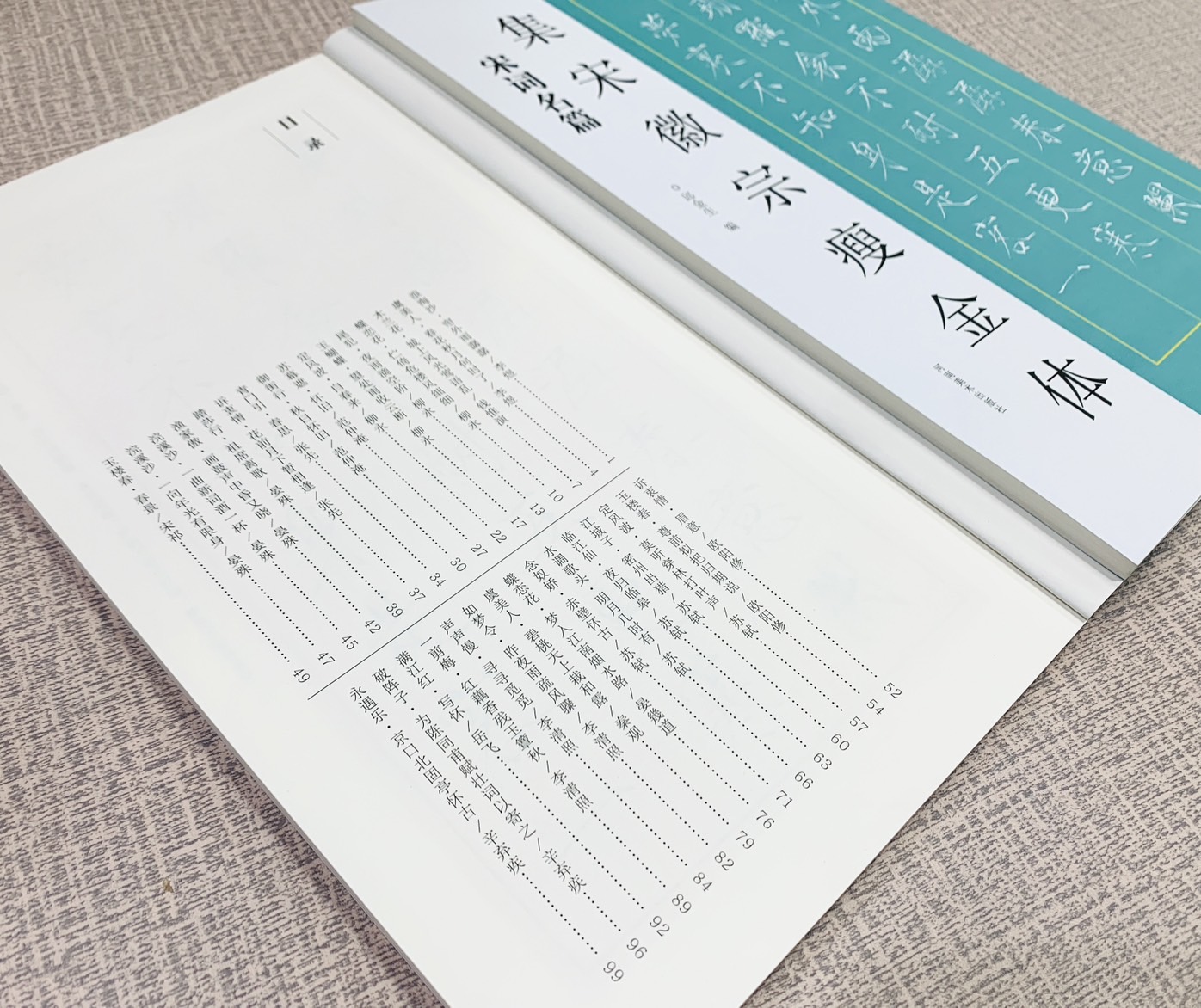《集宋徽宗瘦金體 宋詞名篇》 河南美術出版社 邱金生編著