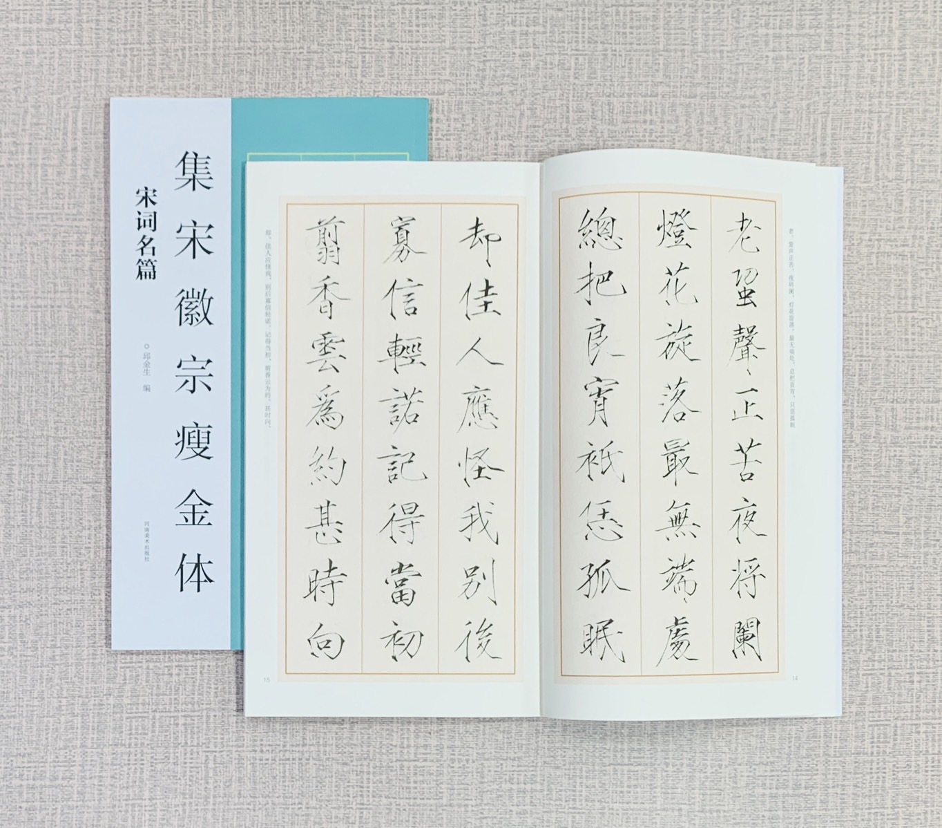 《集宋徽宗瘦金體 宋詞名篇》 河南美術出版社 邱金生編著