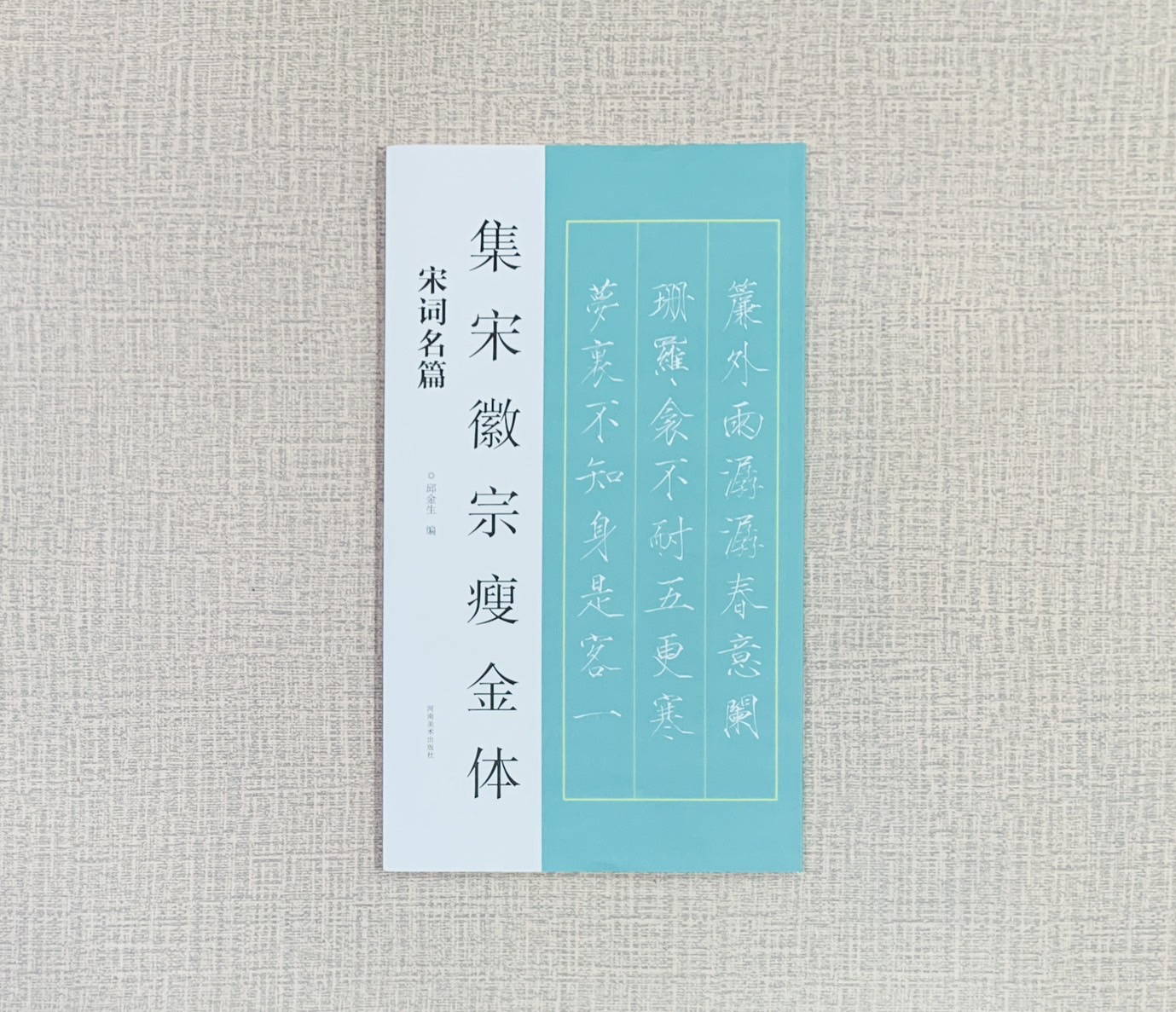 《集宋徽宗瘦金體 宋詞名篇》 河南美術出版社 邱金生編著