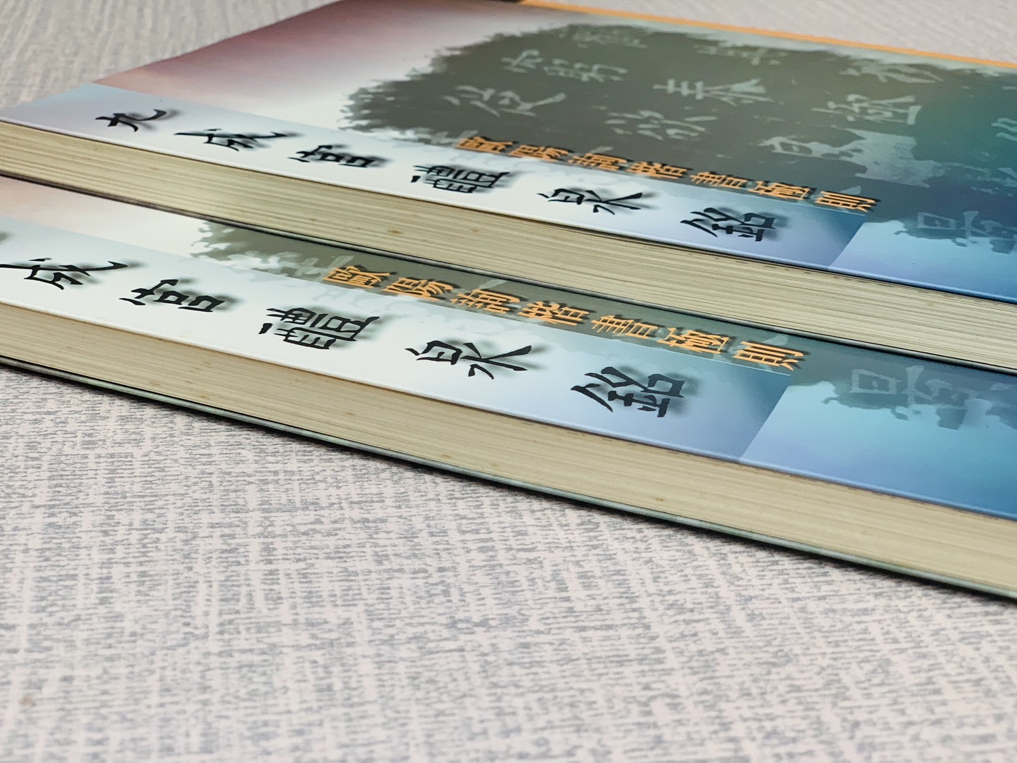 《九成宮醴泉銘-歐陽詢楷書極則》 張志鴻 編著 正大筆墨公司出版