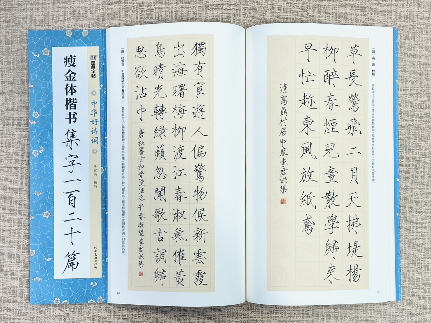 《 瘦金體楷書 集字一百二十篇》中國好詩詞 墨點字帖 李君洪 編寫 河南美術出版社