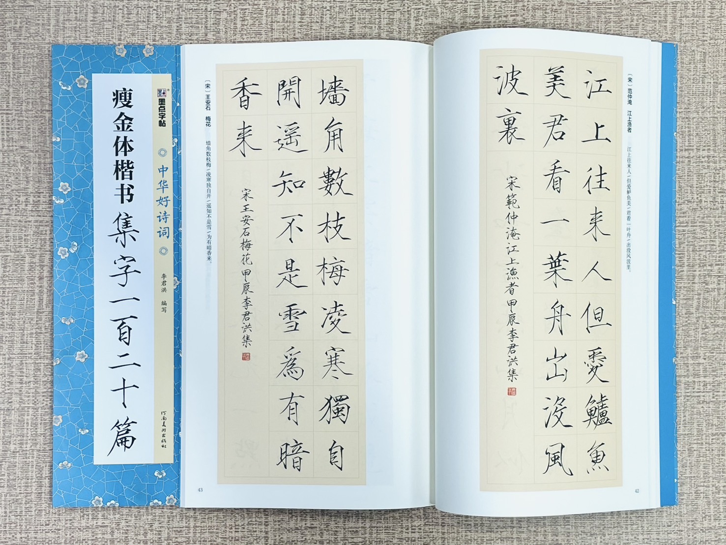 《 瘦金體楷書 集字一百二十篇》中國好詩詞 墨點字帖 李君洪 編寫 河南美術出版社