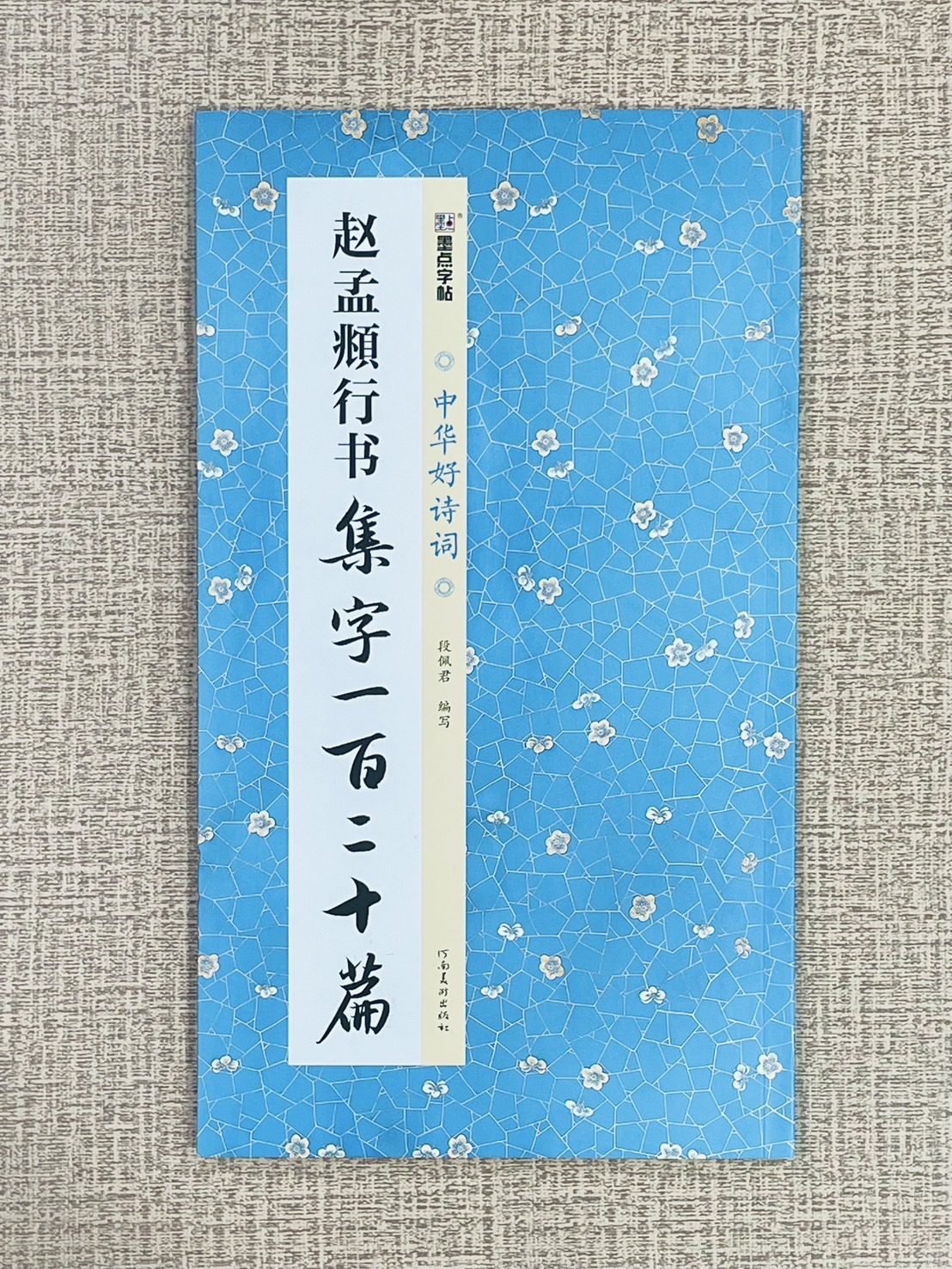 《趙孟頫行書 集字一百二十篇》中國好詩詞 墨點字帖  畢雲楊 編寫  河南美術出版社