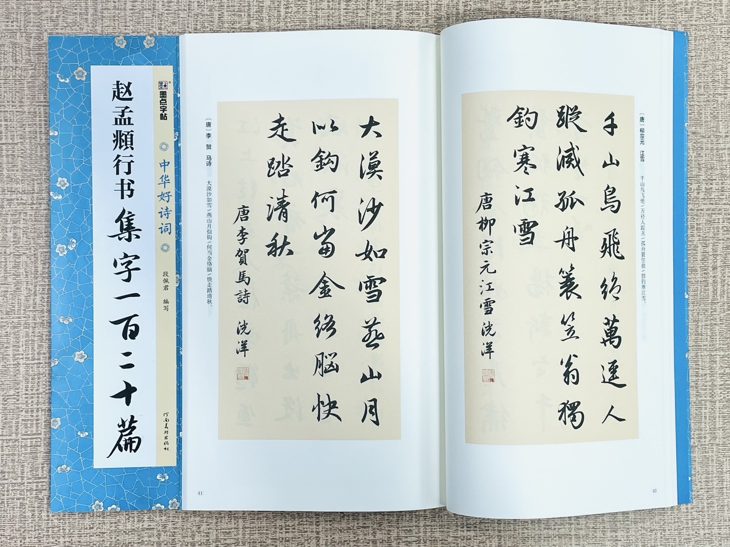 《趙孟頫行書 集字一百二十篇》中國好詩詞 墨點字帖  畢雲楊 編寫  河南美術出版社