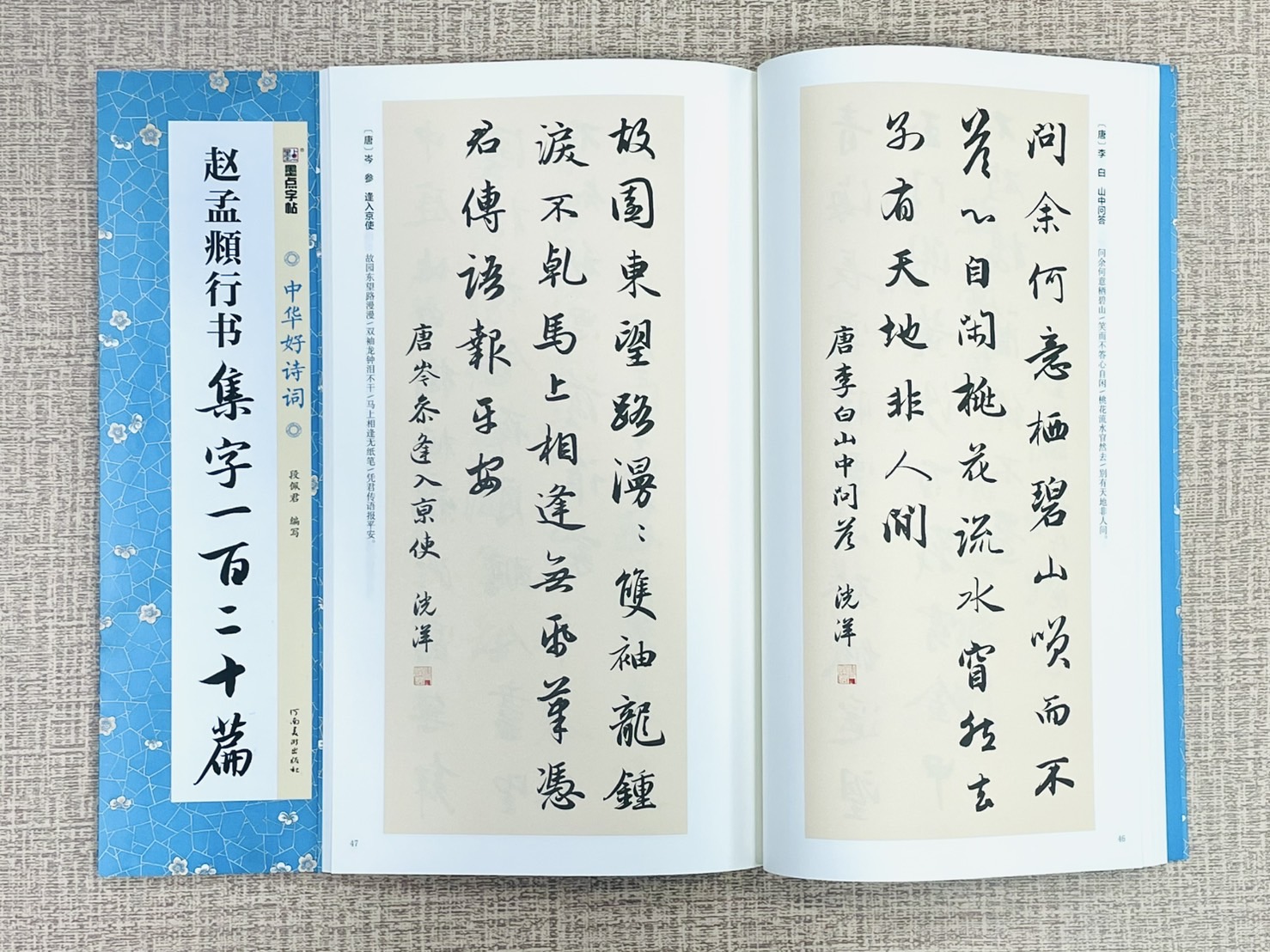 《趙孟頫行書 集字一百二十篇》中國好詩詞 墨點字帖  畢雲楊 編寫  河南美術出版社