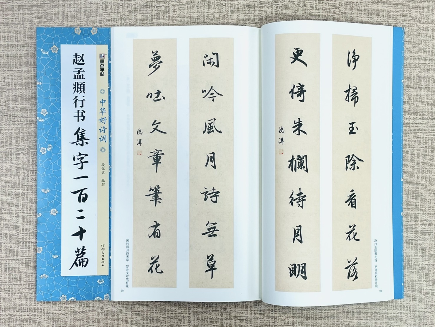 《趙孟頫行書 集字一百二十篇》中國好詩詞 墨點字帖  畢雲楊 編寫  河南美術出版社