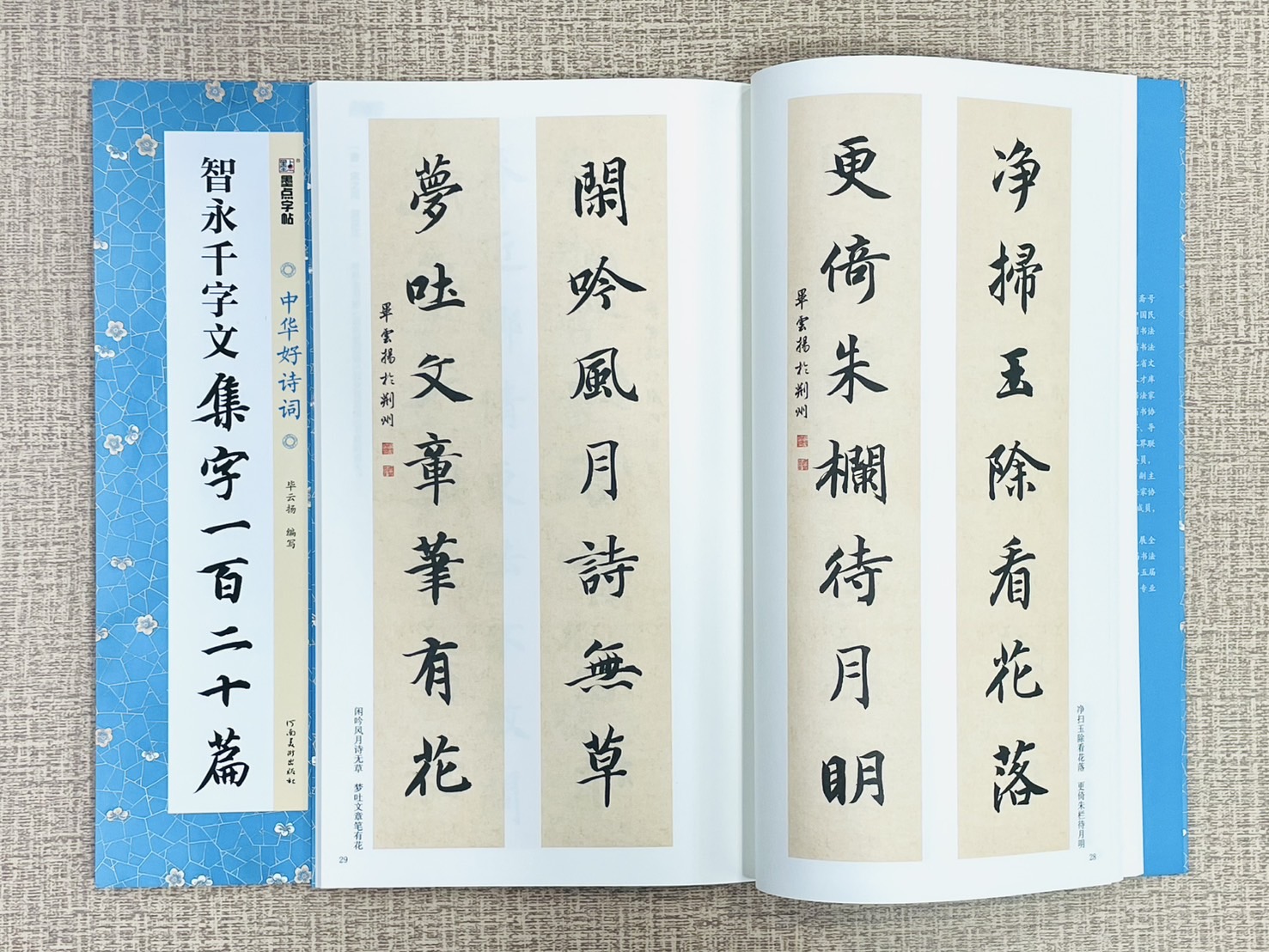 《智永千字文 集字一百二十篇》中國好詩詞 墨點字帖 畢雲楊 編寫 河南美術出版社
