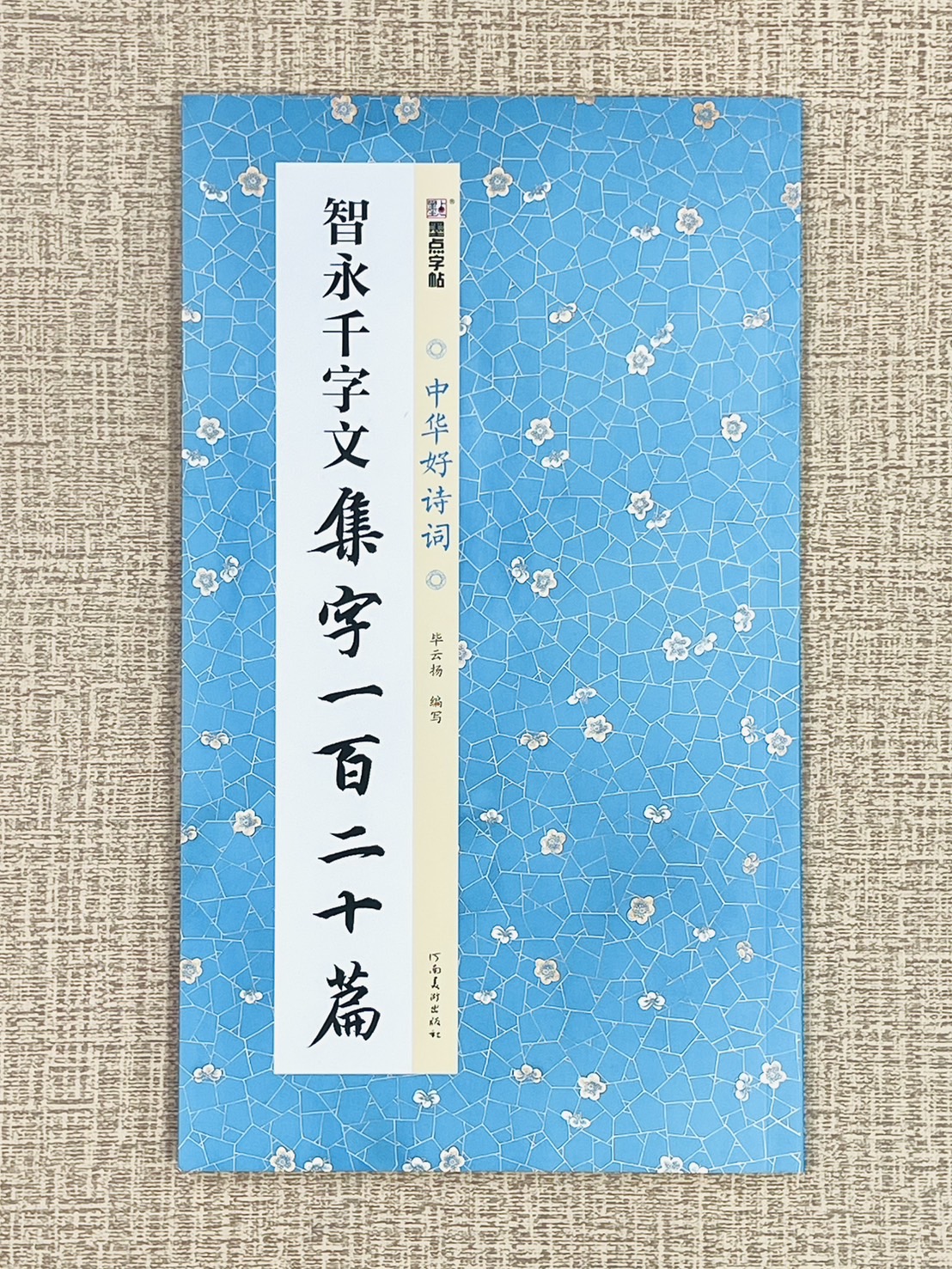《智永千字文 集字一百二十篇》中國好詩詞 墨點字帖 畢雲楊 編寫 河南美術出版社