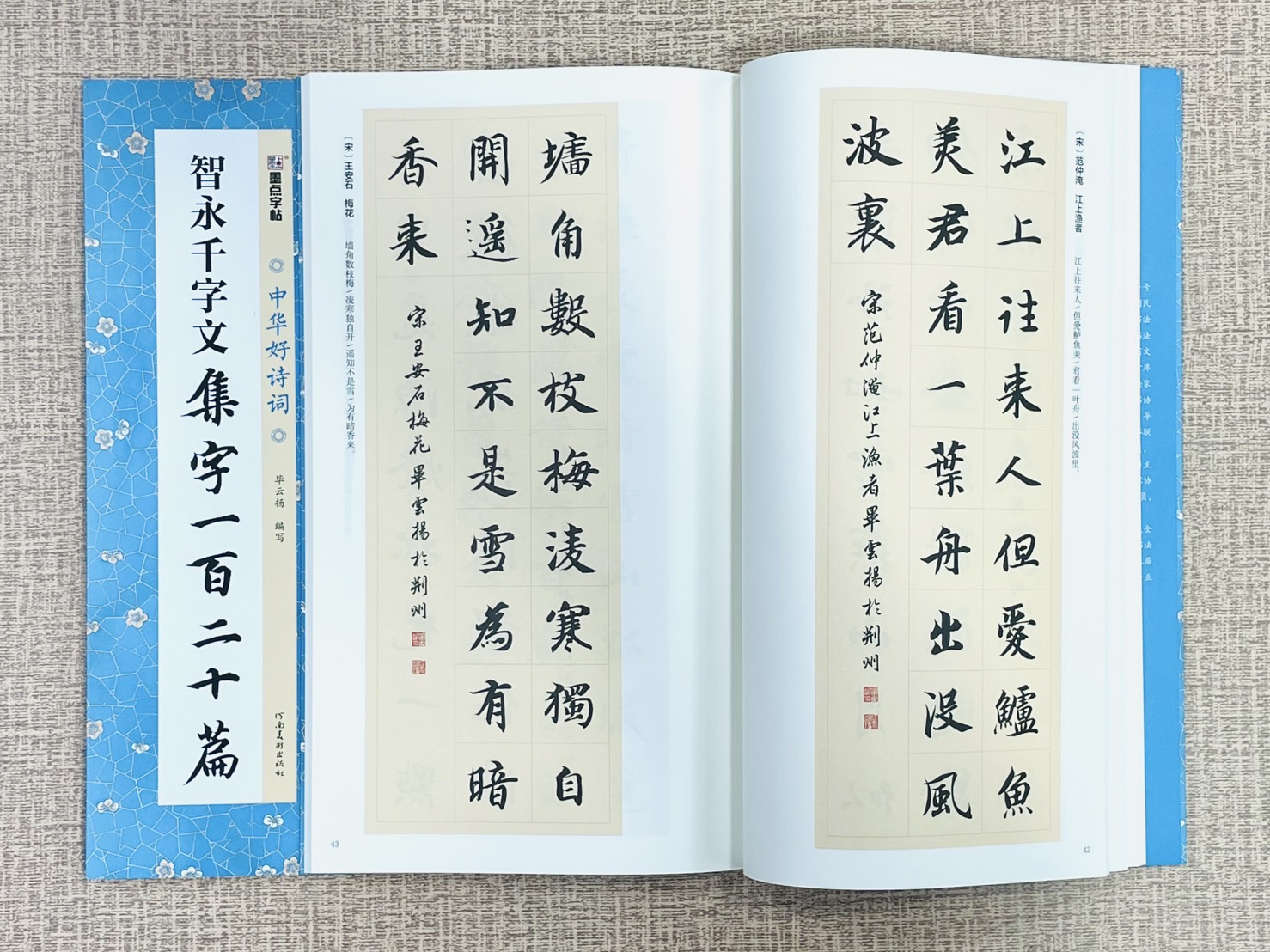 《智永千字文 集字一百二十篇》中國好詩詞 墨點字帖 畢雲楊 編寫 河南美術出版社