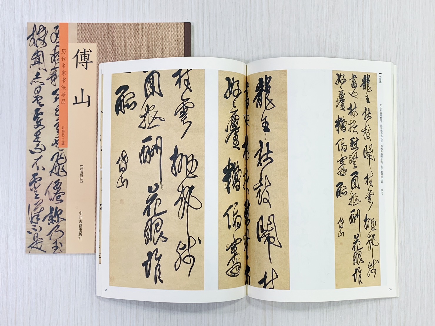 《傅山》  歷代名家書法珍品  許裕長 編  中川古籍出版社